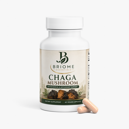 Chaga Mushroom