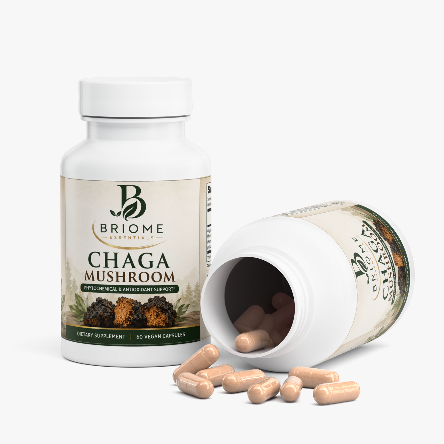 Chaga Mushroom