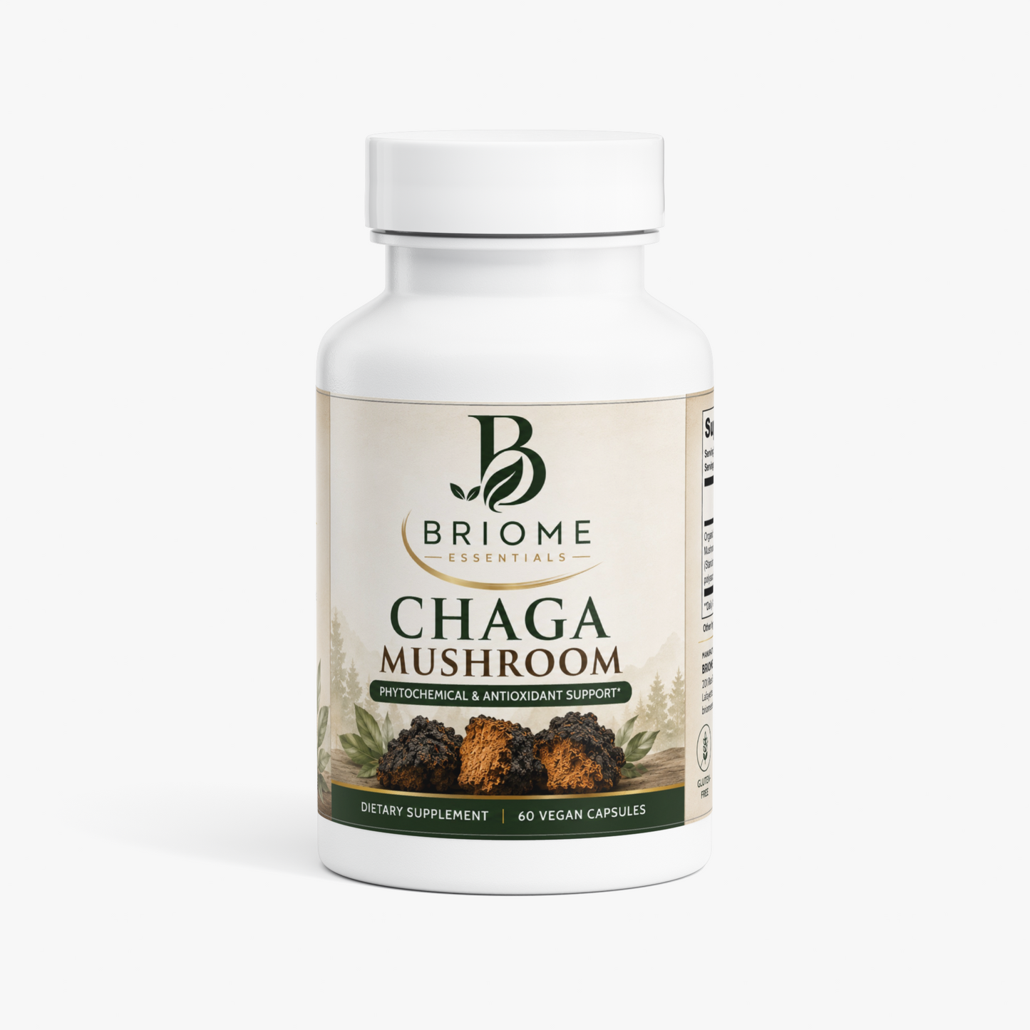 Chaga Mushroom