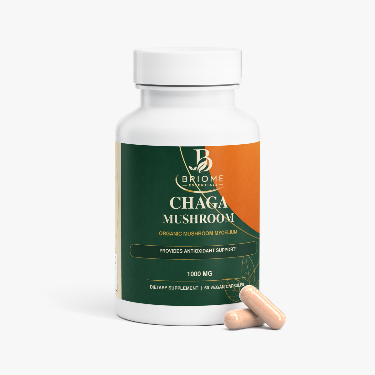 Chaga Mushroom